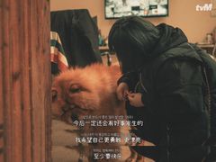-看见远方·莫干遥远的山民宿
