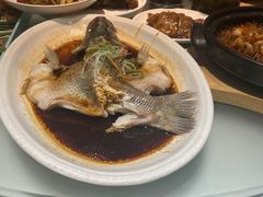 -紫光园·烤鸭·北京菜(劲松店)