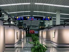 -石家庄正定国际机场-T2航站楼