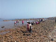 -青岛第二海水浴场