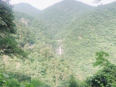 -东天目山风景区