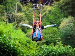 -藏龙百瀑风景区