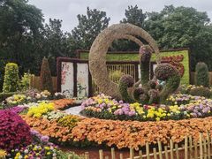 -上海共青森林公园