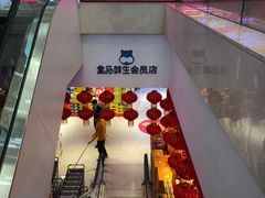 -盒马鲜生(大成店)
