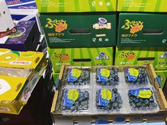 -上海龙吴水胜海发市场