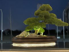 -上海宝华喜来登酒店·采悦轩中餐厅