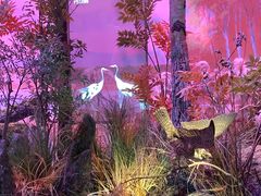 -中国湿地博物馆