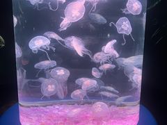 -欢乐海岸海洋奇梦馆