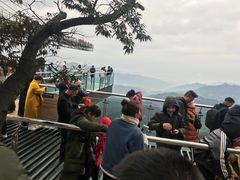 -梦幻奥陶纪景区