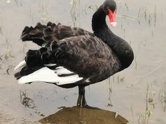 -天津东丽湖风景区