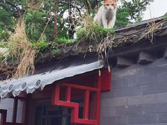 -烤肉宛饭庄(北新桥店)