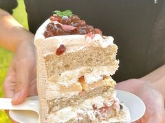 -Dark Horse·黑马蛋糕·低脂·低糖淡奶(金匙望湖大厦店)