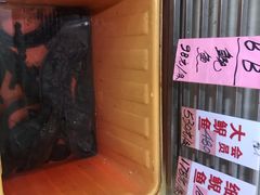 -荔城生鲜盛宴(番禺旗舰店)