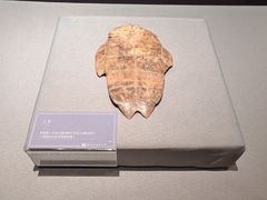 -淮安市博物馆
