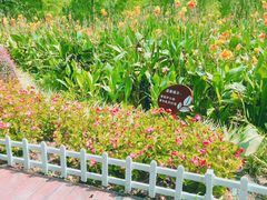 -重庆彩云湖湿地公园