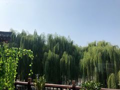 -鹊华居·地道鲁菜·海鲜·融合味(大明湖店)