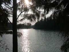 -艾溪湖湿地公园