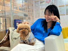 -翊宠yipet猫狗购宠庄园犬舍•猫舍