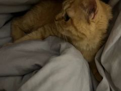 -爱诺动物医院(崂山店)