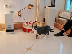 -Catmate·猫肥家润(金润铂宫店)