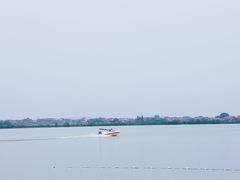 -瑶湖郊野森林公园