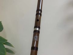 -秦汉胡同古筝围棋国学书院(罗湖分馆)