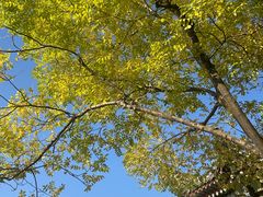 -迎泽公园