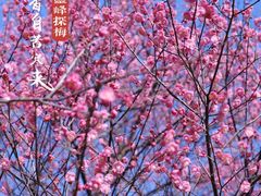 -杭州植物园