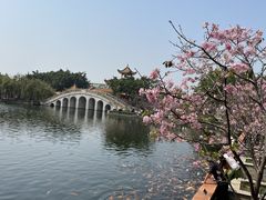 -宝墨园景区