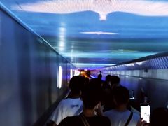 -白鹤梁水下博物馆