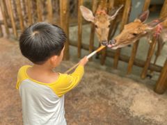 -杭州开元森泊度假乐园