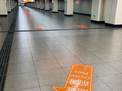 -东方体育中心(地铁站)