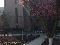-西安交通大学(雁塔校区)