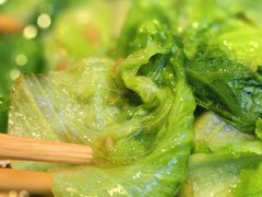白灼生菜-南翔饭店