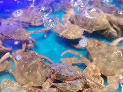-SEA西雅图海鲜自助餐厅(海乐世界店)