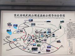 -武陵山森林公园