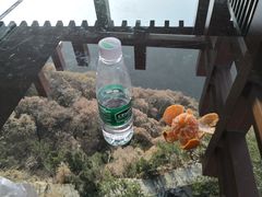 -少华山国家森林公园