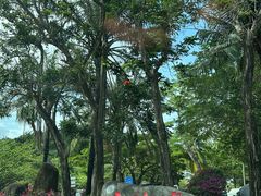 -海南分界洲岛旅游区