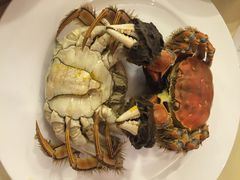 王宝和酒家-王宝和酒家(黄浦店)