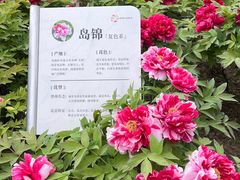 -太阳宫公园