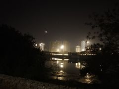 -万绿园