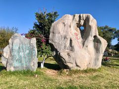 -洱海月湿地公园