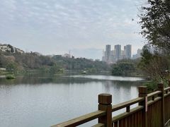 -重庆彩云湖湿地公园
