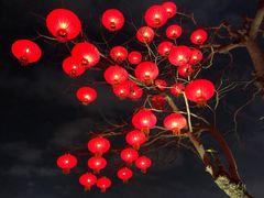 -万绿园