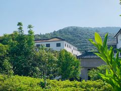 -东山风景区(洞庭东山)