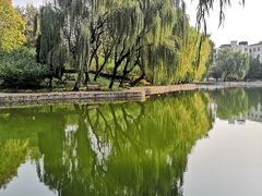 -团结湖公园