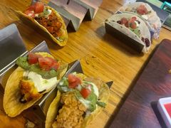 墨西哥鸡肉塔克-Famous肥猫墨西哥音乐餐吧(五棵松华熙LIVE店)