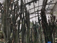 -南山植物园