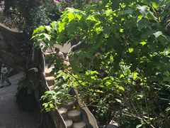 -疯狂屋