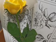 -FEI FEI FLOWER鲜花店·气球派对·宝宝宴布置(虹口德必运动Loft店)